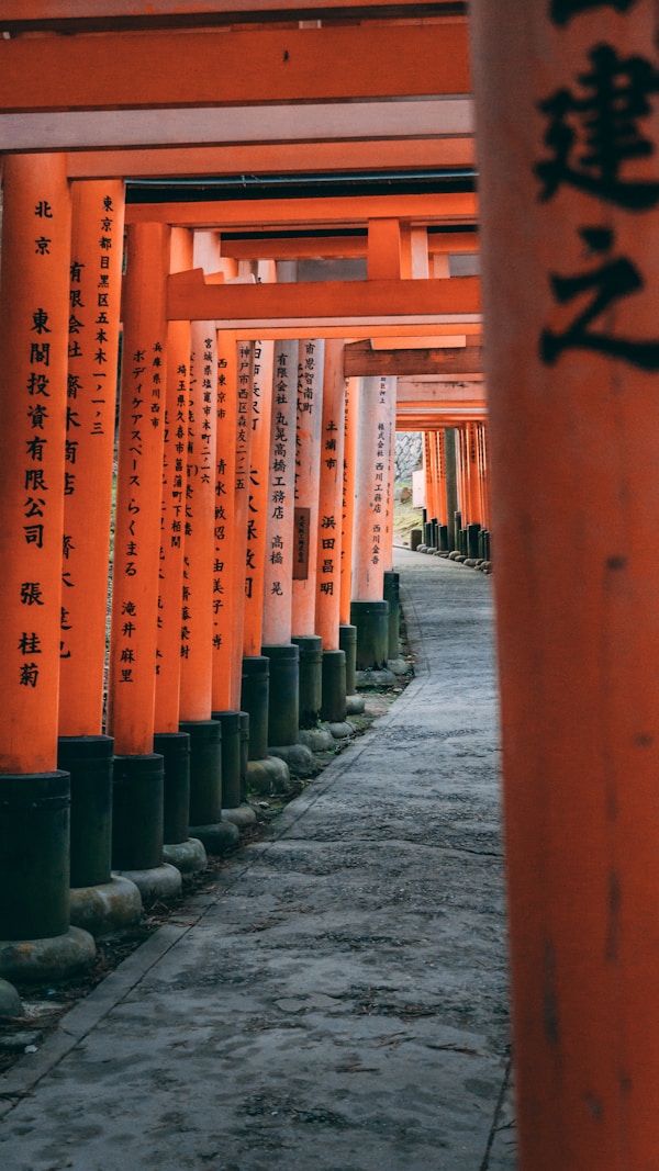 Sunrise at Fushimi Inari